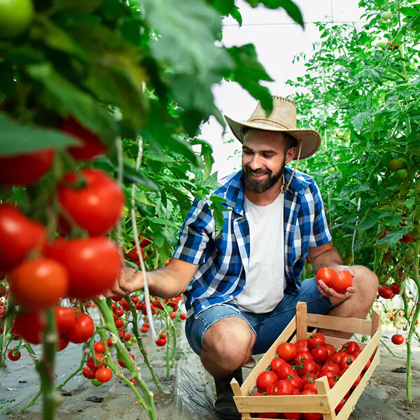 Organik Tarım Yöneticisi Eğitimi Sertifika Programı<br>