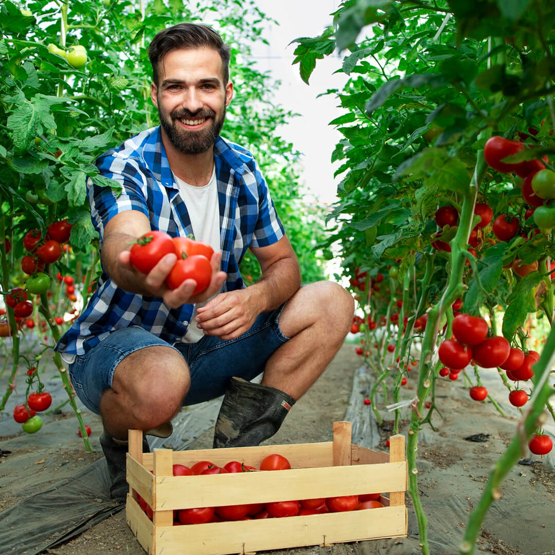 Seracılık Eğitimi Sertifika Programı<br>